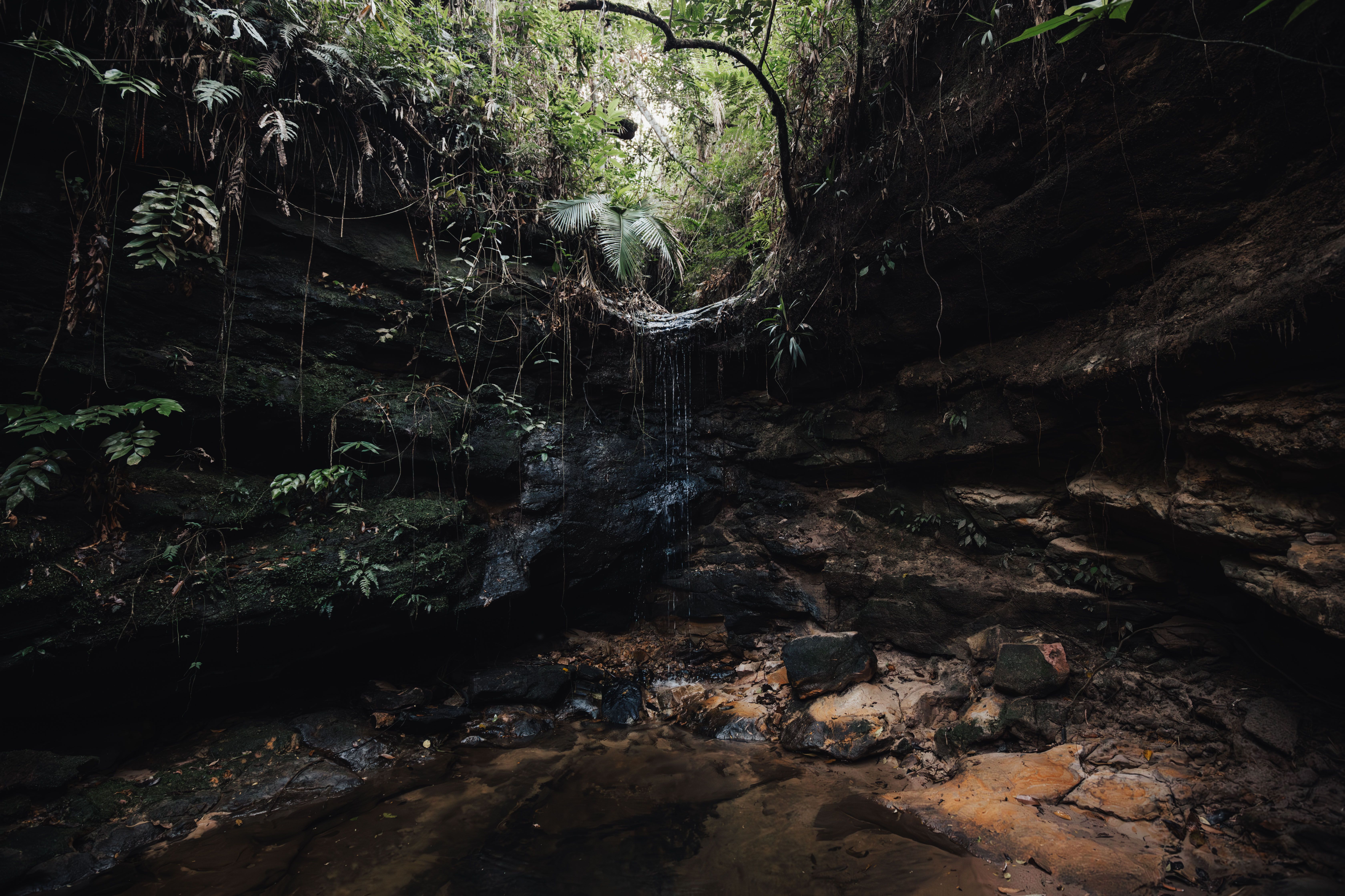 Interior de una cueva tropical con luz filtrada