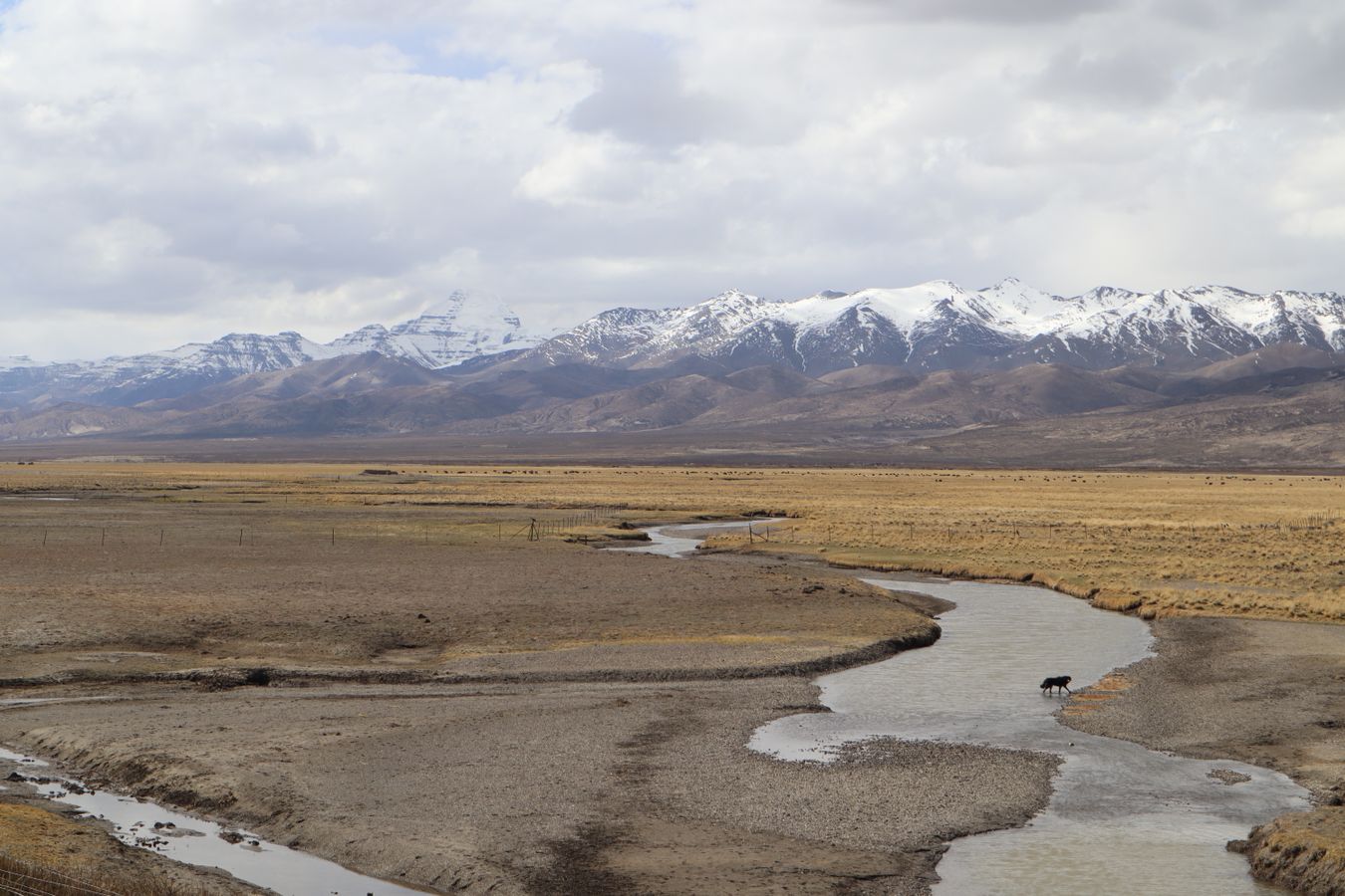 Arroyo atravesando una llanura amplia con montanas nevadas en el Tibet