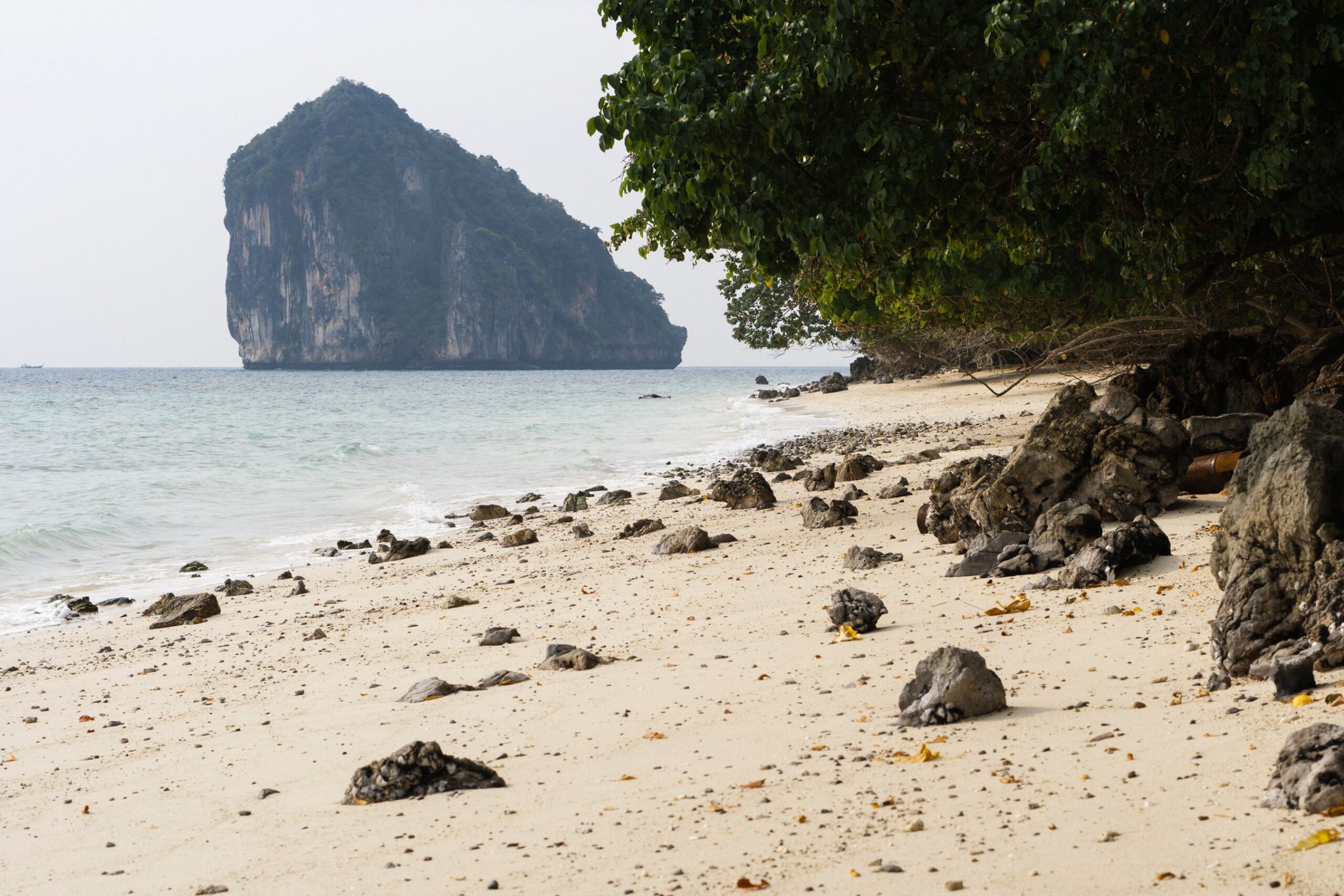 Playa de Krabi con acantilados de piedra caliza y agua turquesa