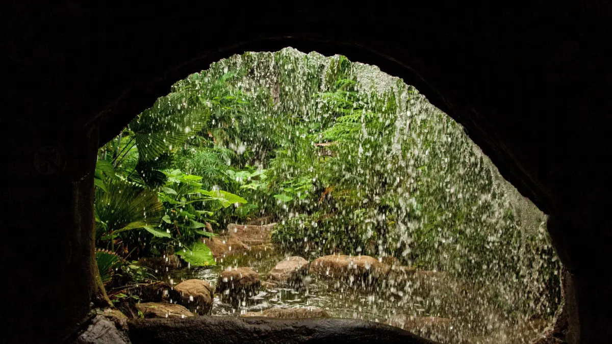 Entrada de una cueva tropical rodeada de vegetación