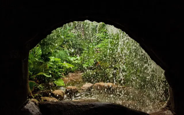 Entrada de una cueva tropical rodeada de vegetación