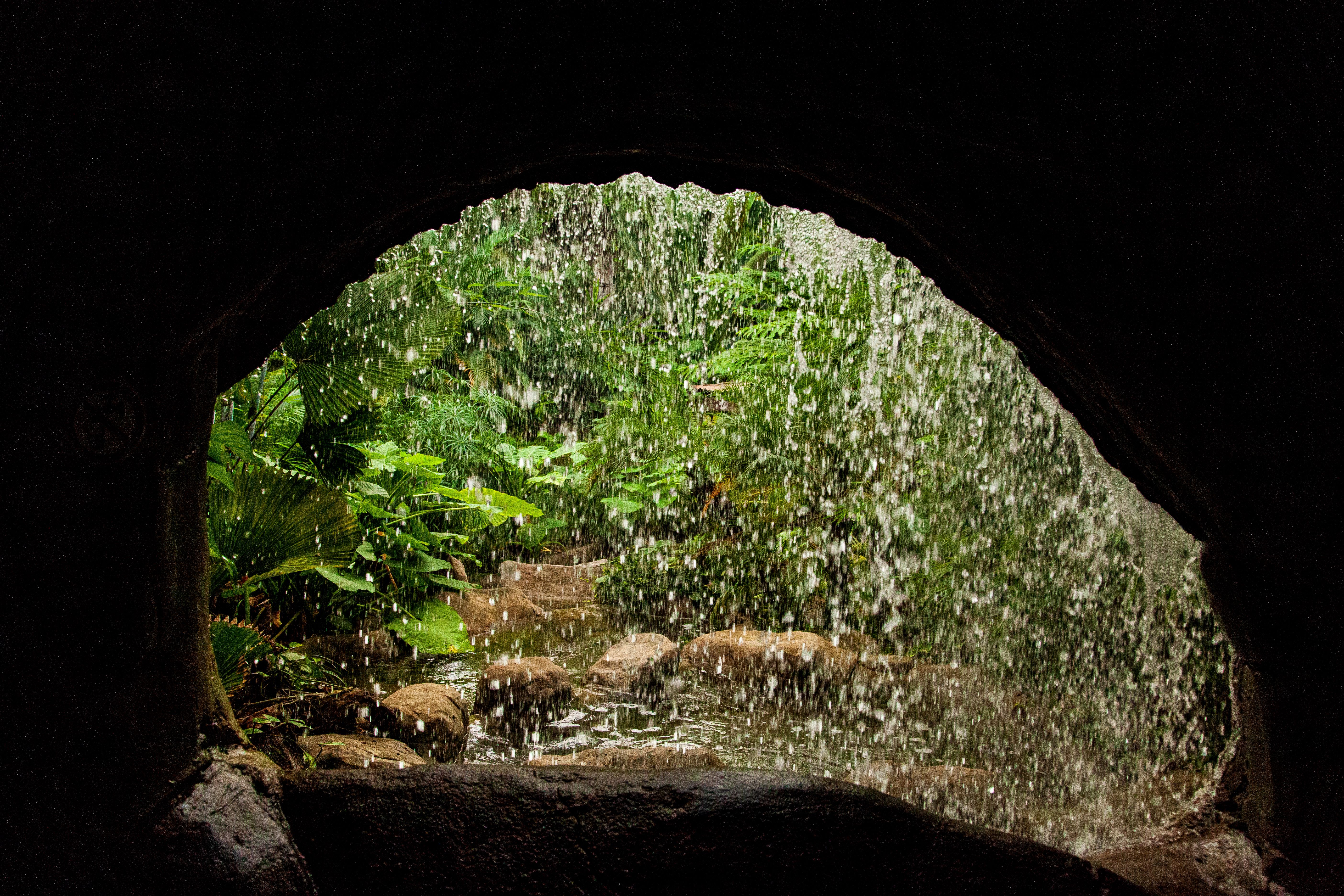 Entrada de una cueva tropical rodeada de vegetación