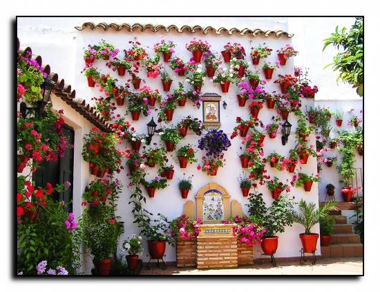 El encanto de Andalucía 4