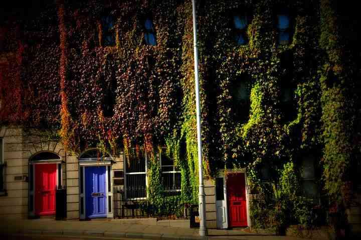 puertas de colores en Dublín