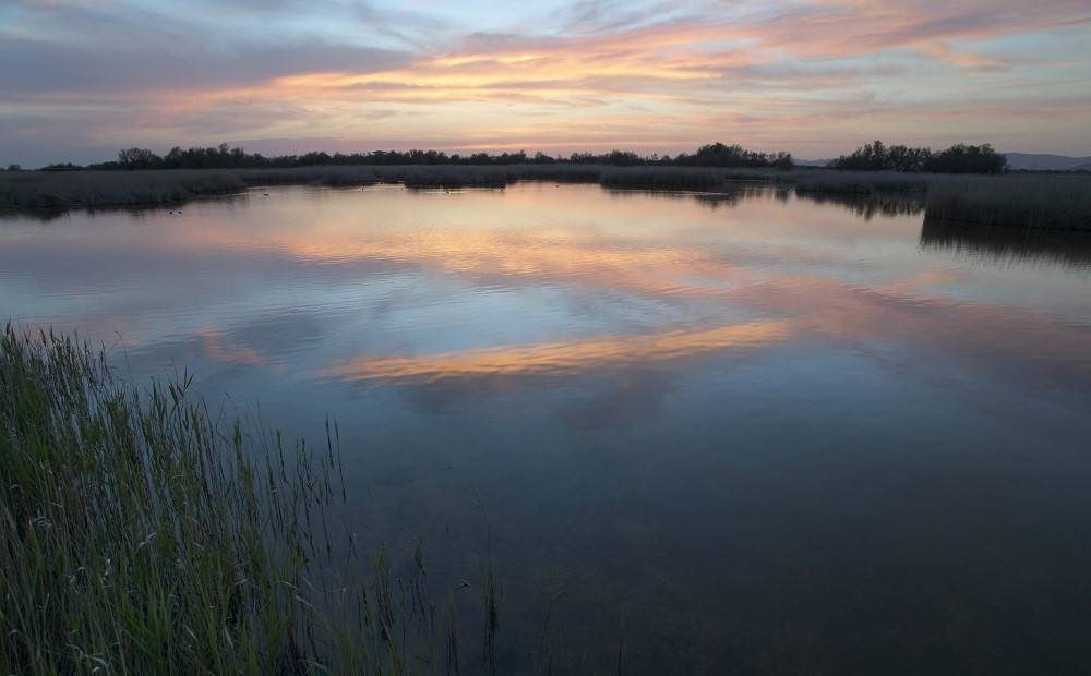 Wetland landscape Sunset.