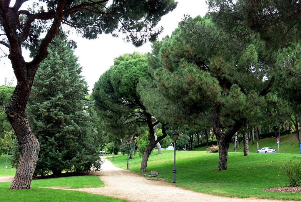 parques para correr en madrid: oeste