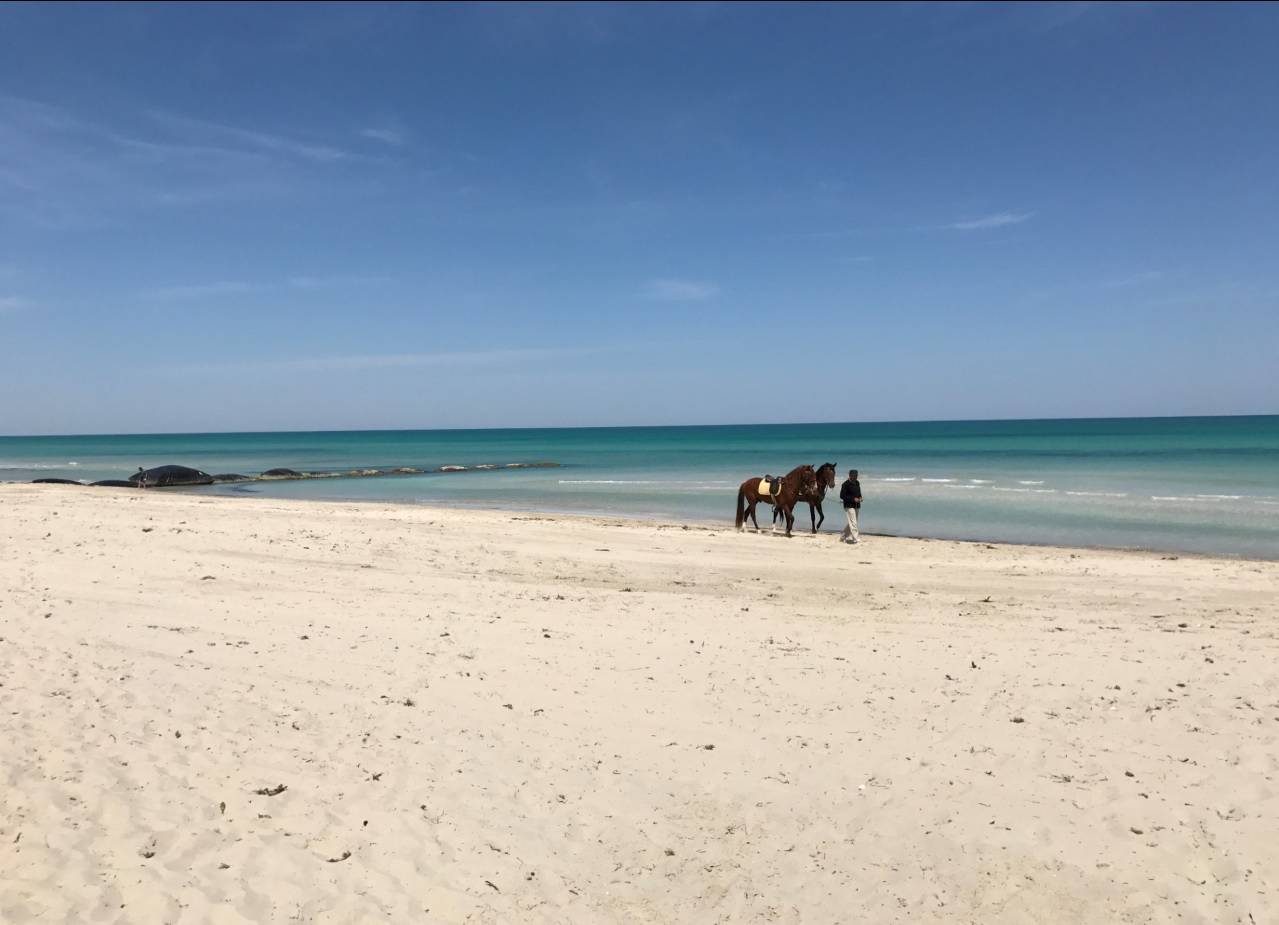 Túnez, un país con una gran diversidad de paisajes