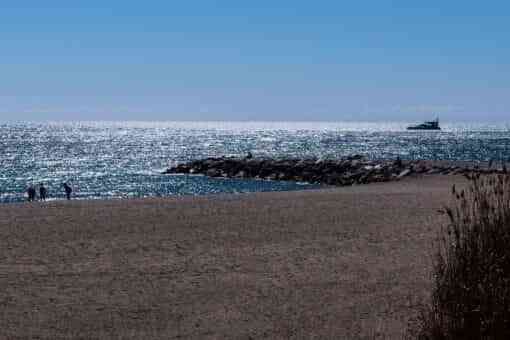 5 destinos económicos con playa canina en España 6