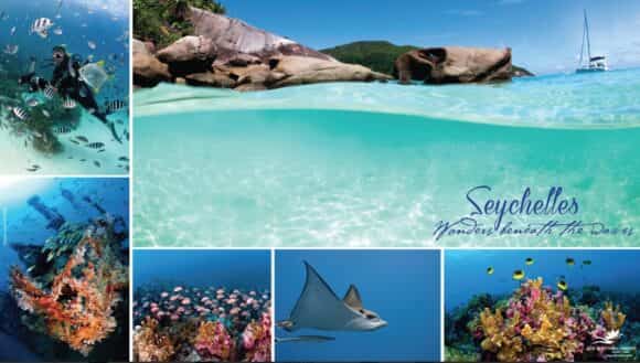 Seychelles: un oasis de playas vírgenes y naturaleza intacta 15