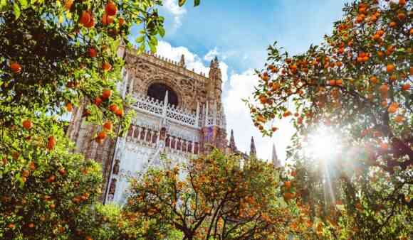 Los naranjos en flor, un aliciente para visitar Sevilla en primavera 2