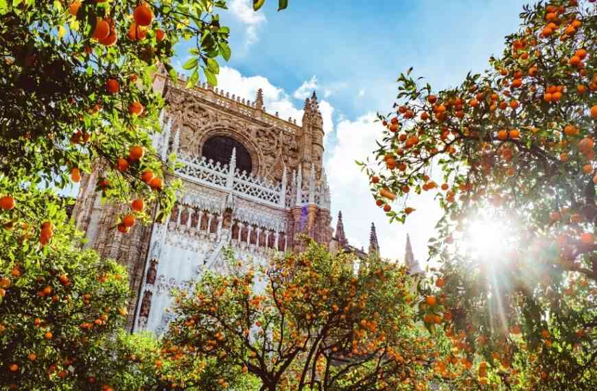 Los naranjos en flor, un aliciente para visitar Sevilla en primavera