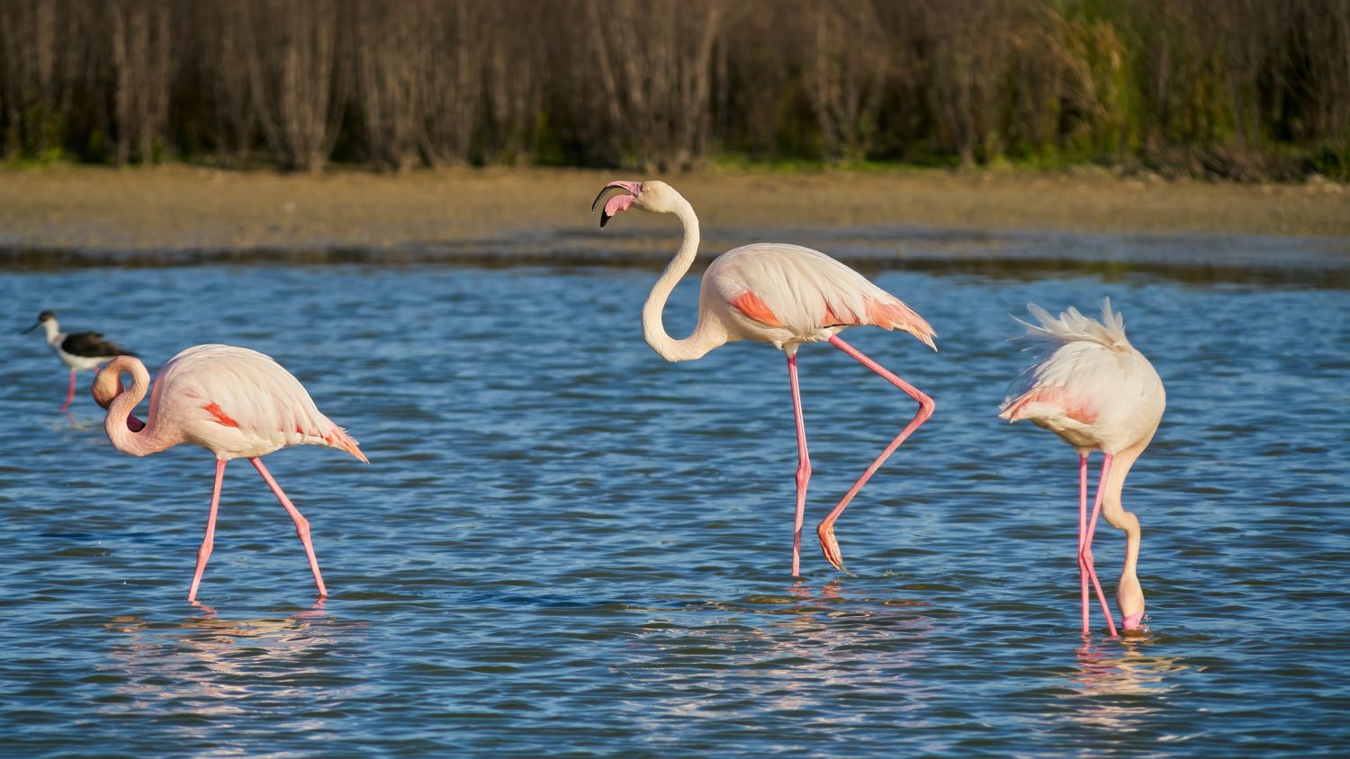 Los 10 lagos más bonitos de España para visitar en el mes de noviembre 7