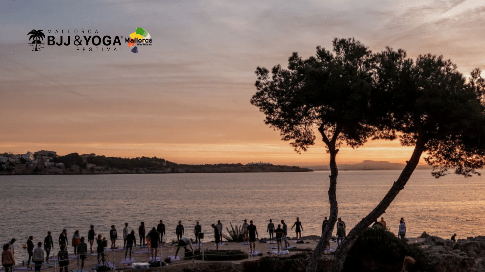 Elena Digital López