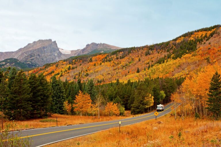 Home Elementor 8 Home Elementor 3