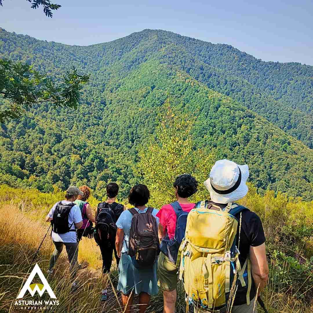 Elena Digital López