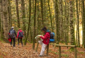 Elena Digital López