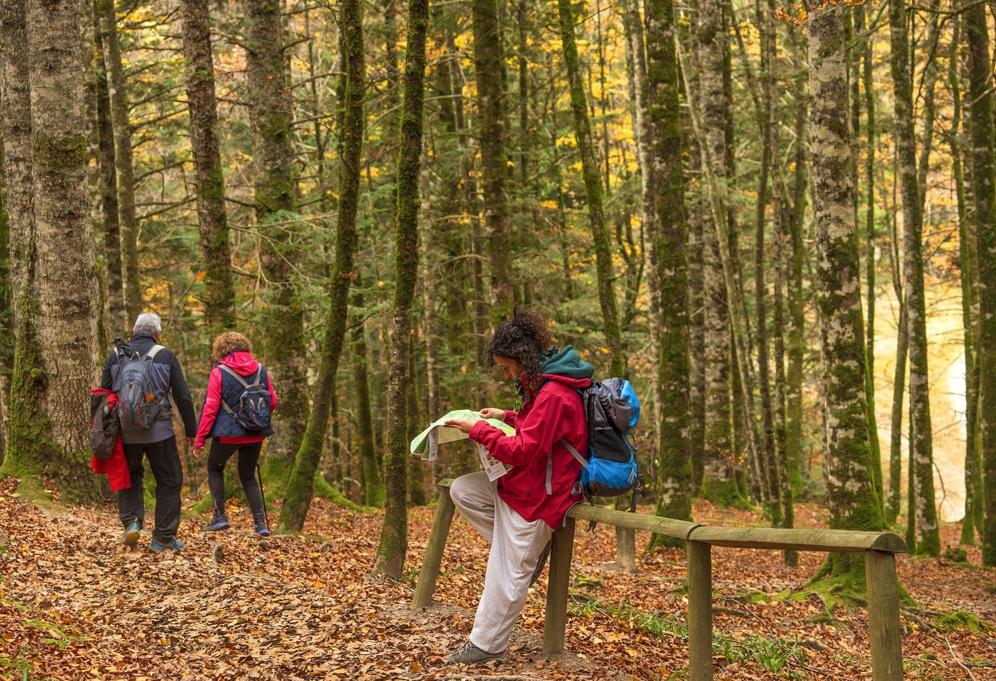 Elena Digital López