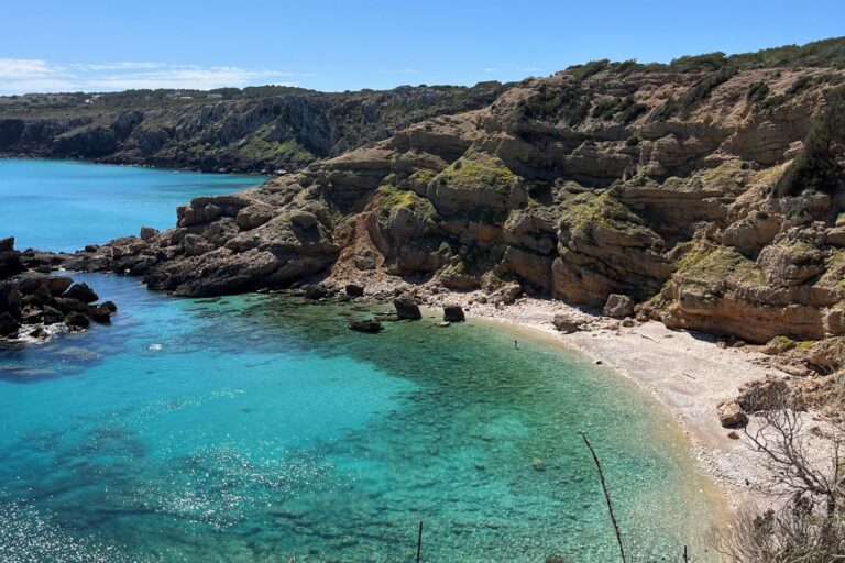 Home Elementor 4 Home Elementor 3