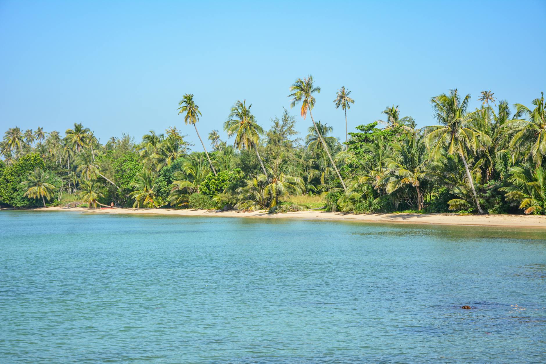 Playa tropical en Tailandia con palmeras y mar turquesa