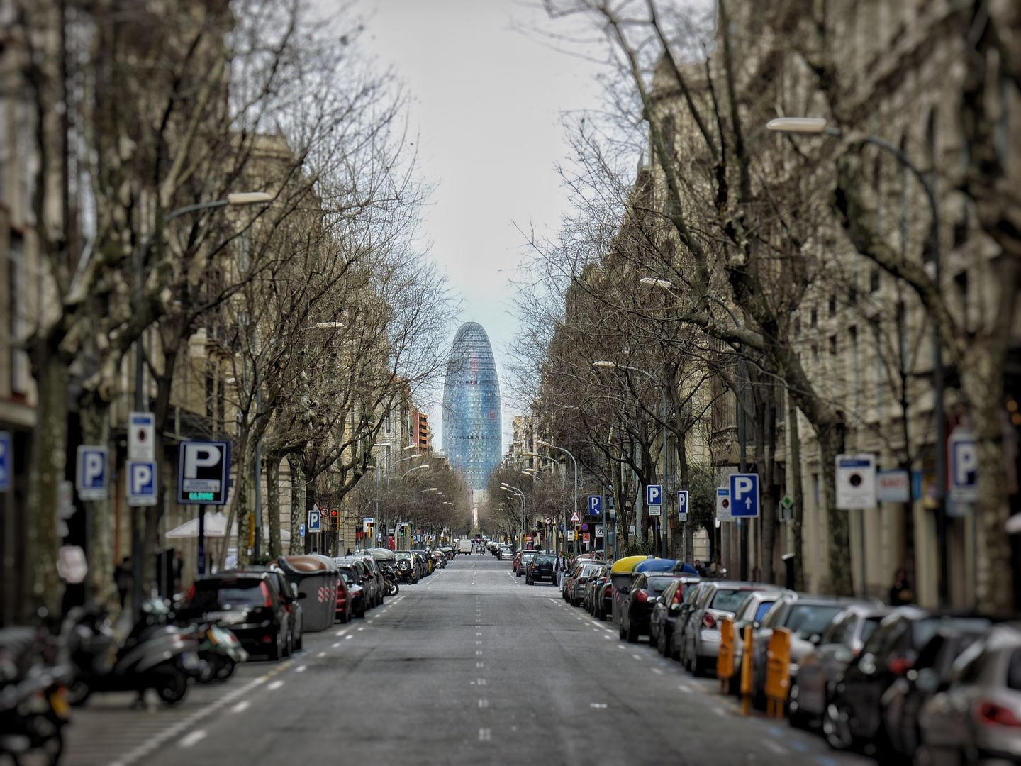 Torre Glòries Barcelona: el mirador de la Torre Agbar 2 Vista urbana de la Torre Glòries en Barcelona entre árboles y calles